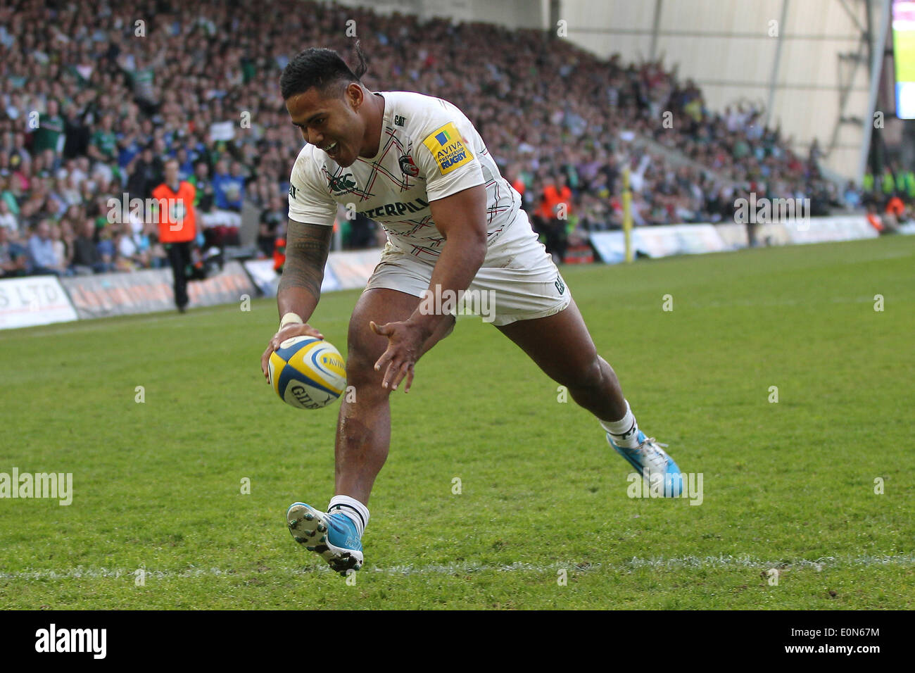 16.05.2014. Northampton, England. Manu Tuilagi Tiger Partituren beim erste Versuch von der Aviva Premiership Play Off Spiel zwischen Northampton Saints und Leicester Tigers in Franklins Gardens. Stockfoto