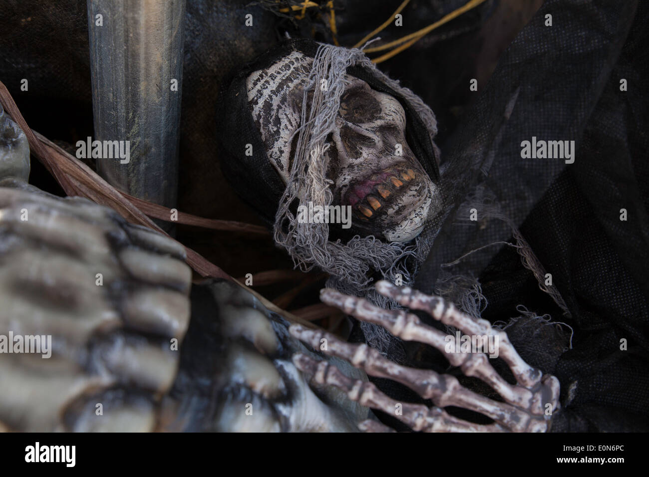 Gruseligen Skelett Teile dienen als Halloween-Dekoration. Stockfoto