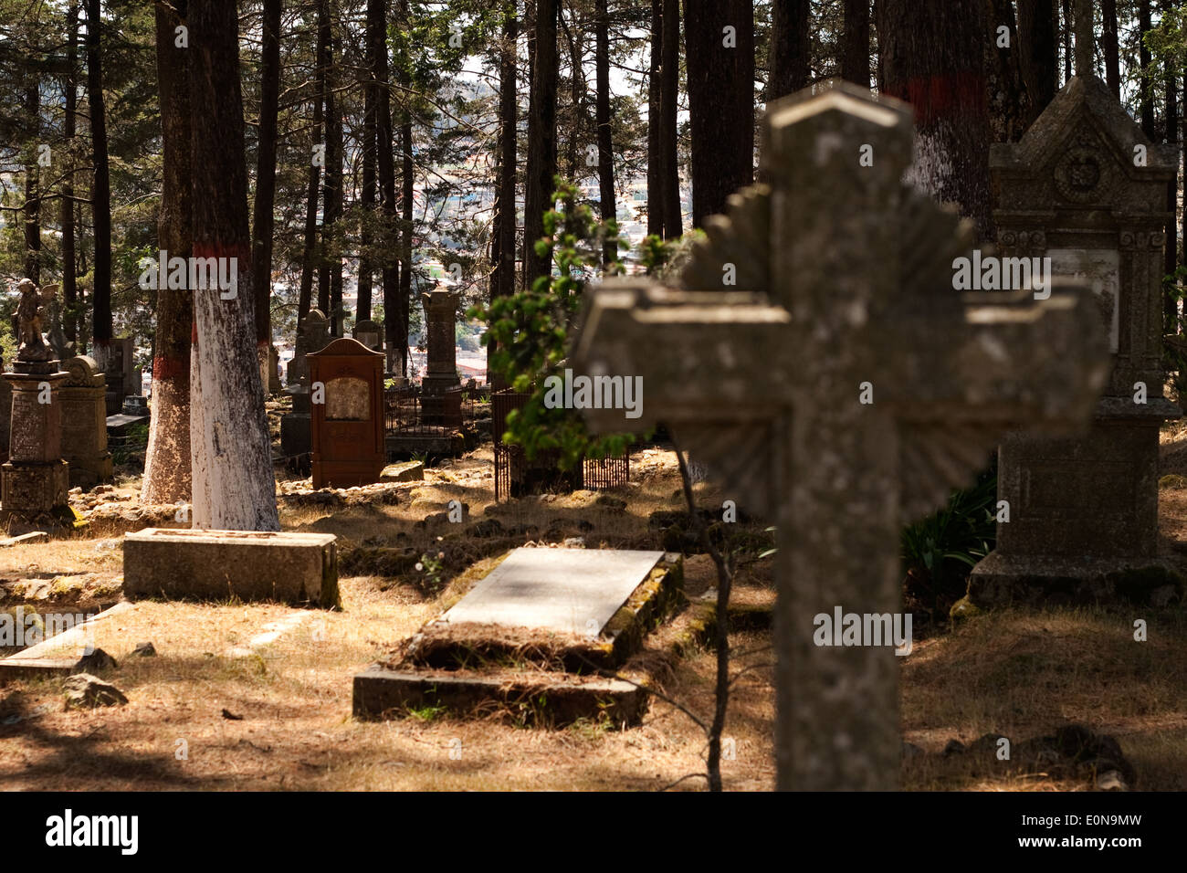 Englischer Friedhof in Real del Monte Pachuga Stockfoto