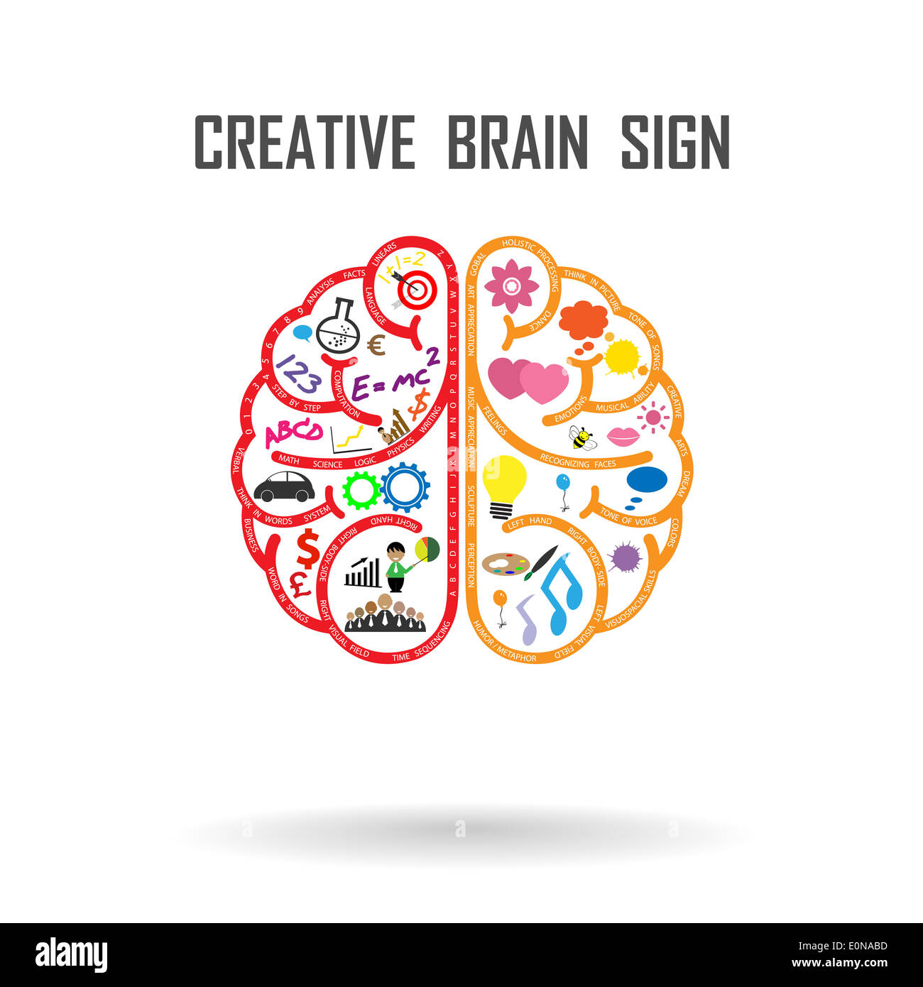 Kreative, die linke und Rechte Gehirn Idee Konzept Stockfoto