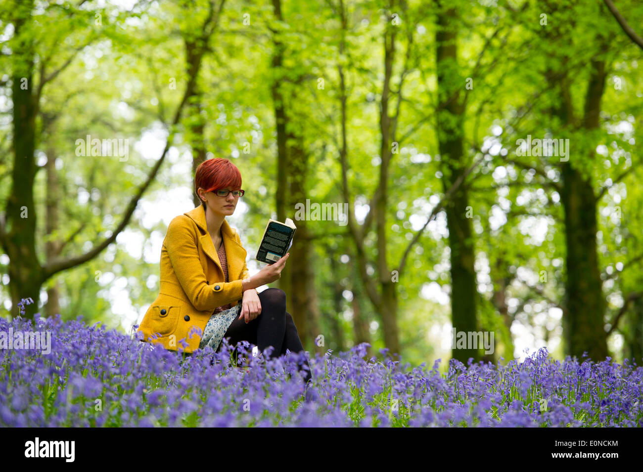 Eine Mädchen in einem gelben Mantel liest ein Buch in einem Wald voller Glockenblumen an einem Feiertag. Stockfoto