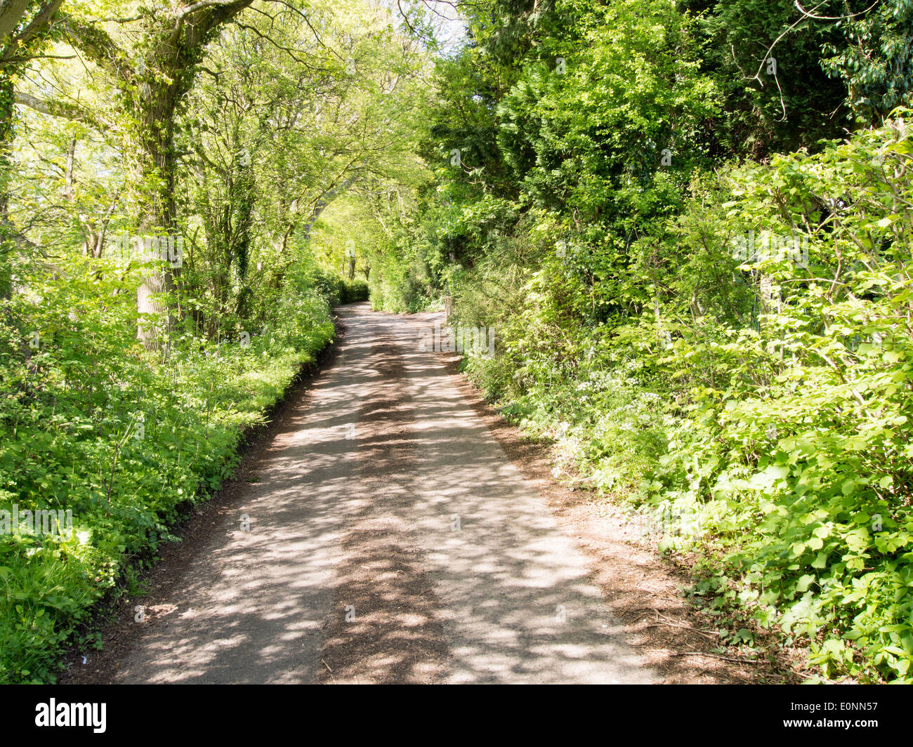 Schmalen Feldweg Stockfoto