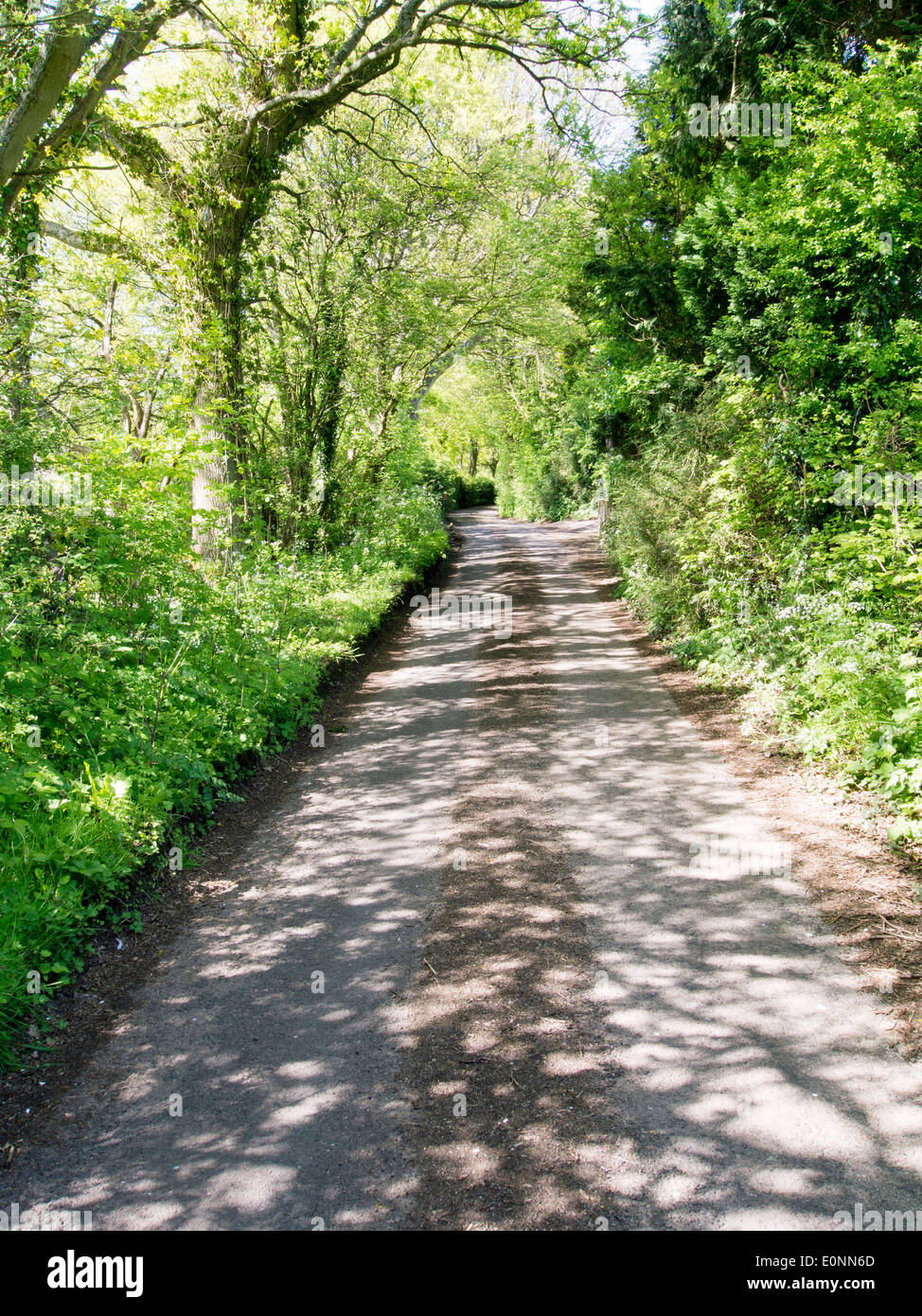 Schmalen Feldweg mit Bäumen und Sträuchern auf beiden Seiten Stockfoto