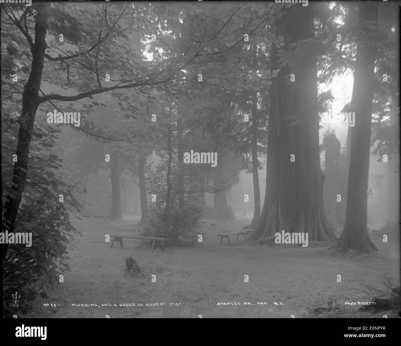 "Morgen und Glanz der silbrig Nebel', Stanley Park, Vancouver, b.c. Stockfoto
