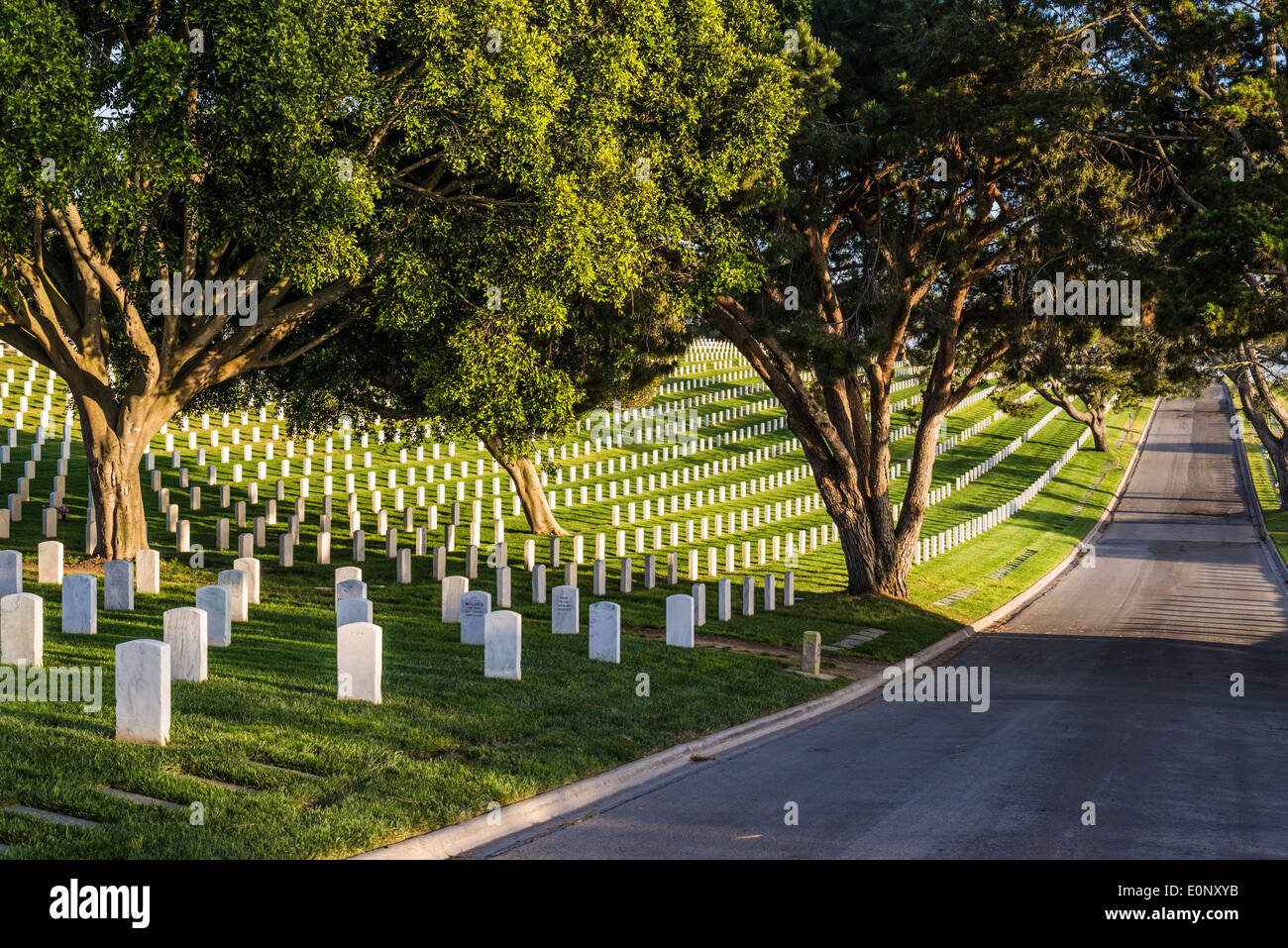 Fort Rosecrans National Cemetery beleuchtet durch die späten Nachmittag Sonne San Diego, Kalifornien, USA. Stockfoto