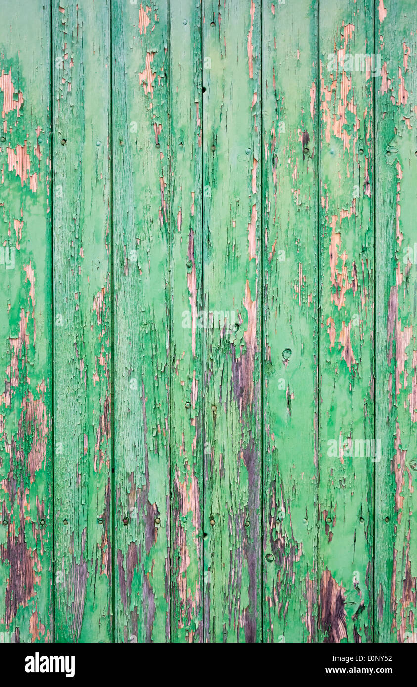 Schäbig, aber charmante Holztür mit Flocken grüne Farbe für Hintergrund, Textur oder an der Wand. Gefunden Sie in Mallorca, Islas Baleares, Spanien Stockfoto