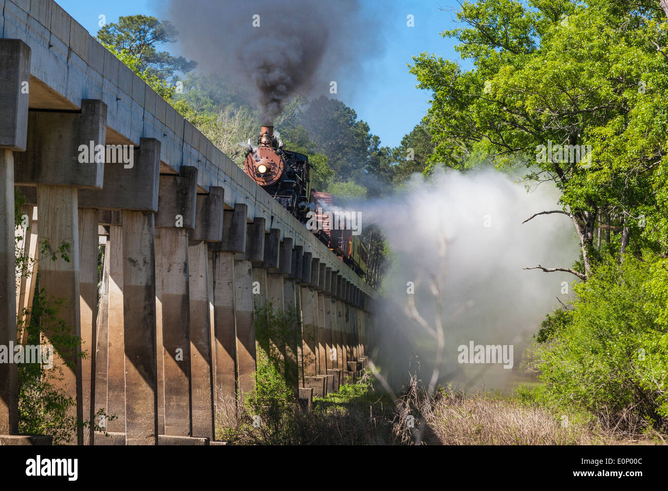 Texas State Railroad Railfan Foto Zugfahrt über die Neches River Bridge in East Texas. Stockfoto