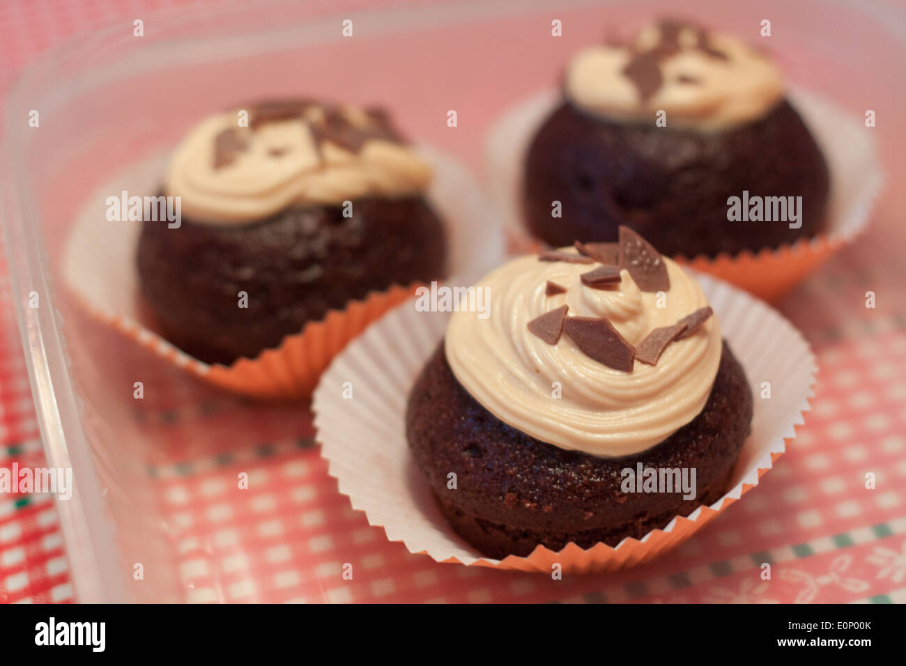 Schokoladen-Muffins Stockfoto