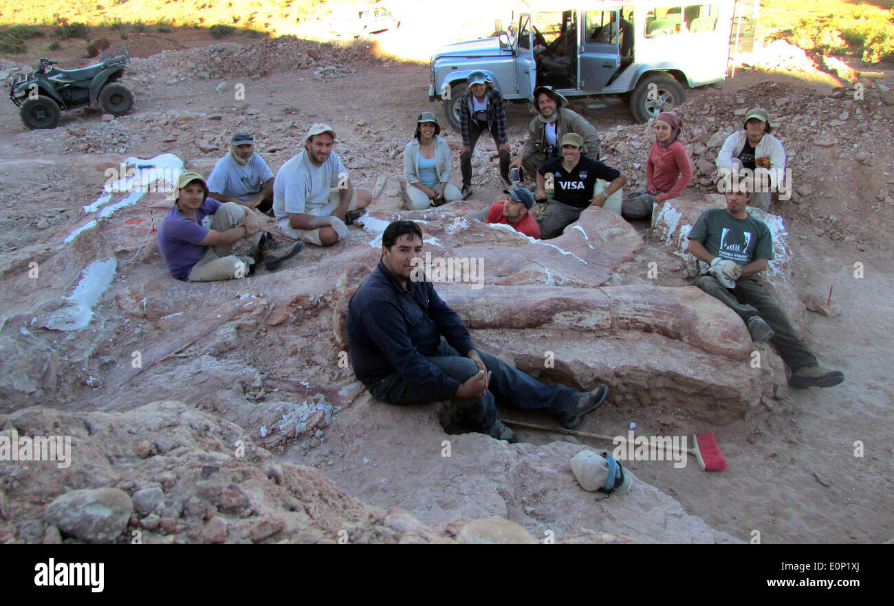 (140518)--CHUBUT, 18. Mai 2014 (Xxinhua)--Menschen sitzen die größten bekannten Dinosaurier-Fossil in Provinz Chubut, Argentinien, am 17. Mai 2014. Nach der argentinischen Nachrichtenagentur Telam ermöglicht die Entdeckung es, um die Fragen über die klimatischen Bedingungen in Patagonien Millionen von Jahren zu lösen. (Xinhua/TELAM) (da) (Fnc) Stockfoto