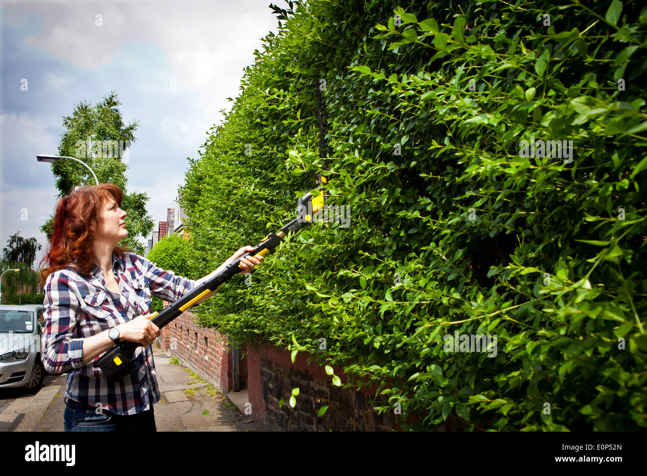 Frau trimmen Hecke mit einem schnurlosen elektrischen Heckenschere Stockfoto