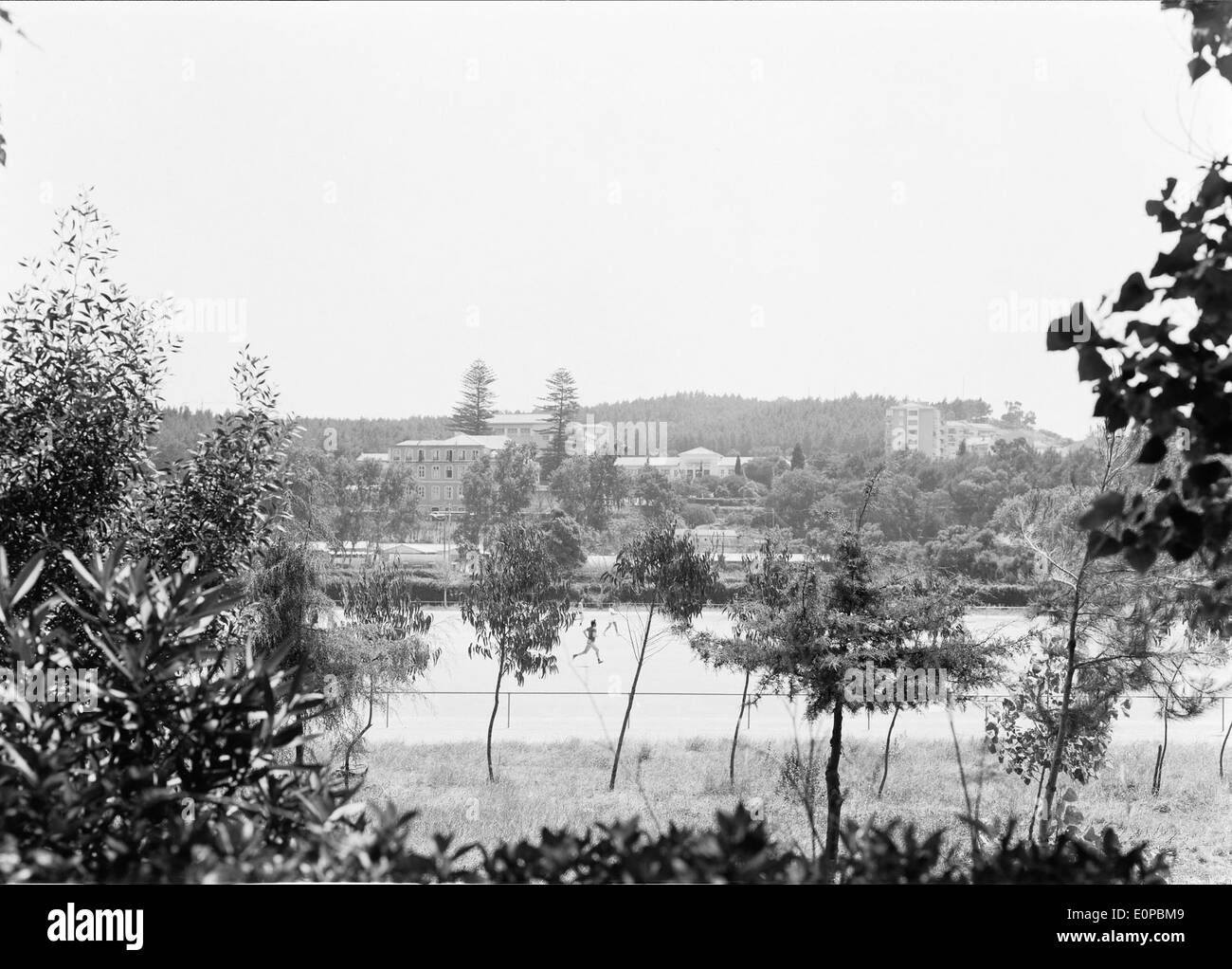 Das Instituto Superior de Agronomia in Lissabon ist eine führende Einrichtung für die Hochschulbildung in der Landwirtschaft. Von Mário Novais erfasst, ist es ein Zentrum für Agrarstudien und -Forschung in Portugal, das zu Fortschritten in diesem Bereich beiträgt. Stockfoto