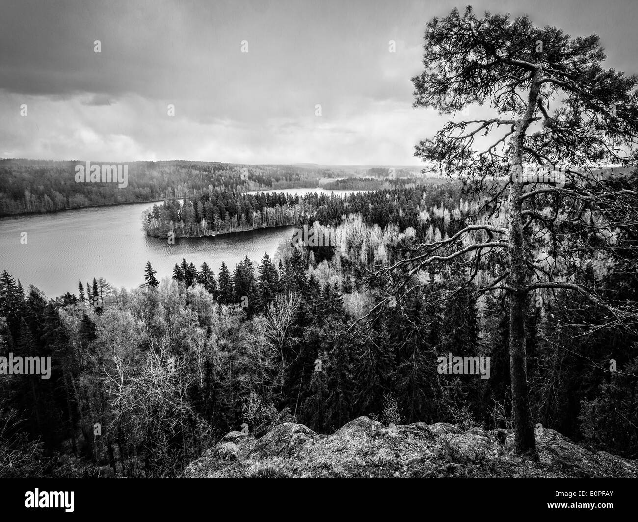 Dramatische Seeblick in schwarz & weiß im Aulanko Nature Conservation Park in Finnland Stockfoto