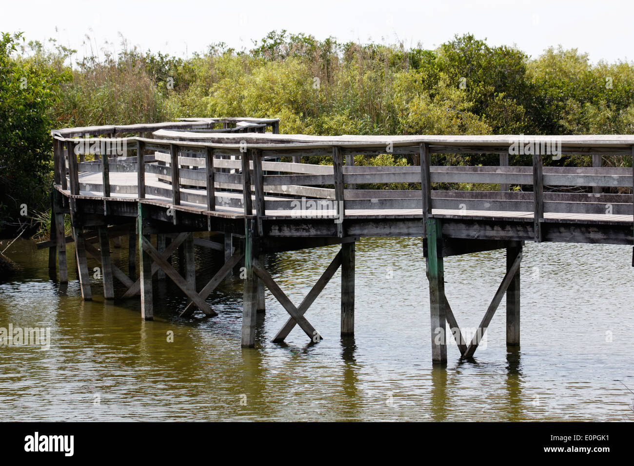 Holzsteg führt durch Alligator-verseuchten Sümpfe der Everglades in Florida, USA. Stockfoto