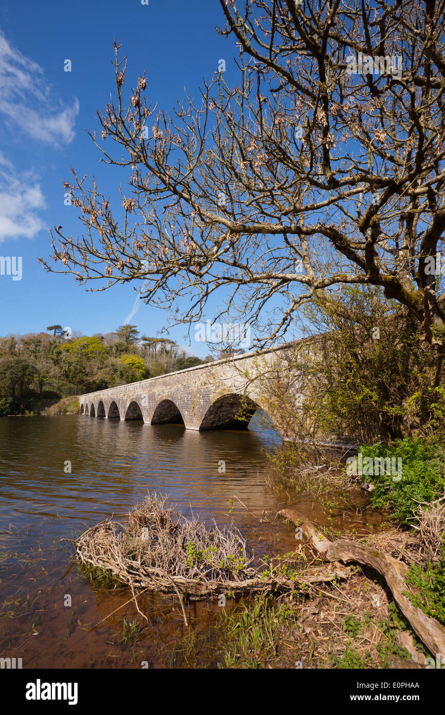 Fußgängerbrücke über die Fischteiche, in der Nähe von Stackpole, Pembrokeshire, Wales UK Stockfoto