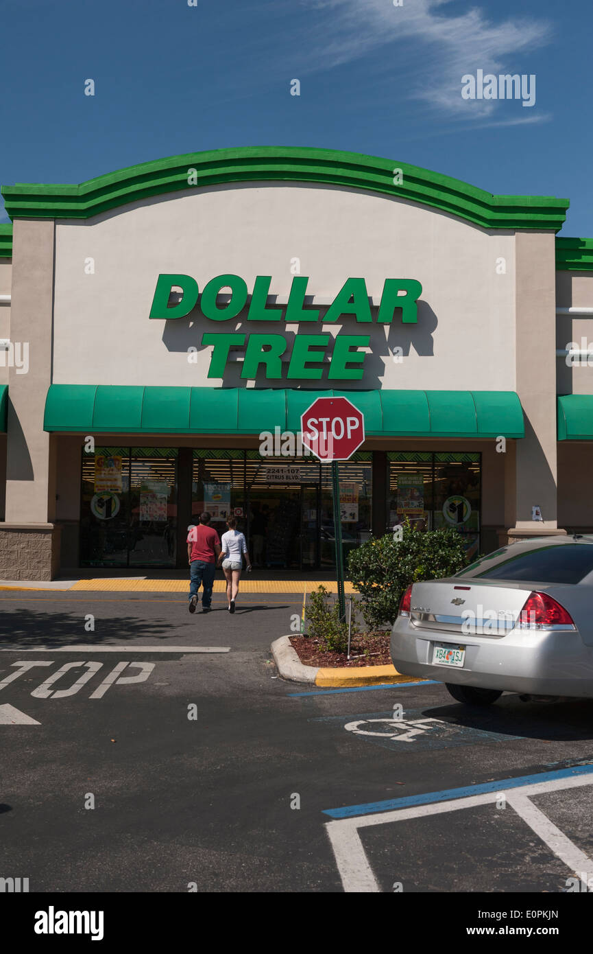 Dollar Tree Store befindet sich in Leesburg, Florida Stockfoto