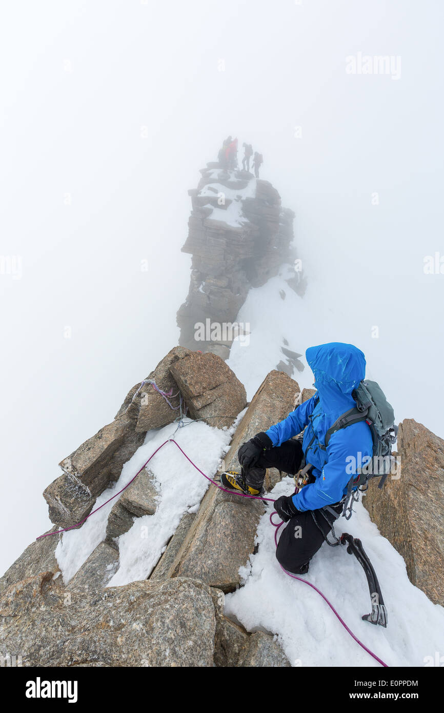 Abstieg vom Gipfel des Gran Paradiso, Italien, Alpen, EU Stockfoto