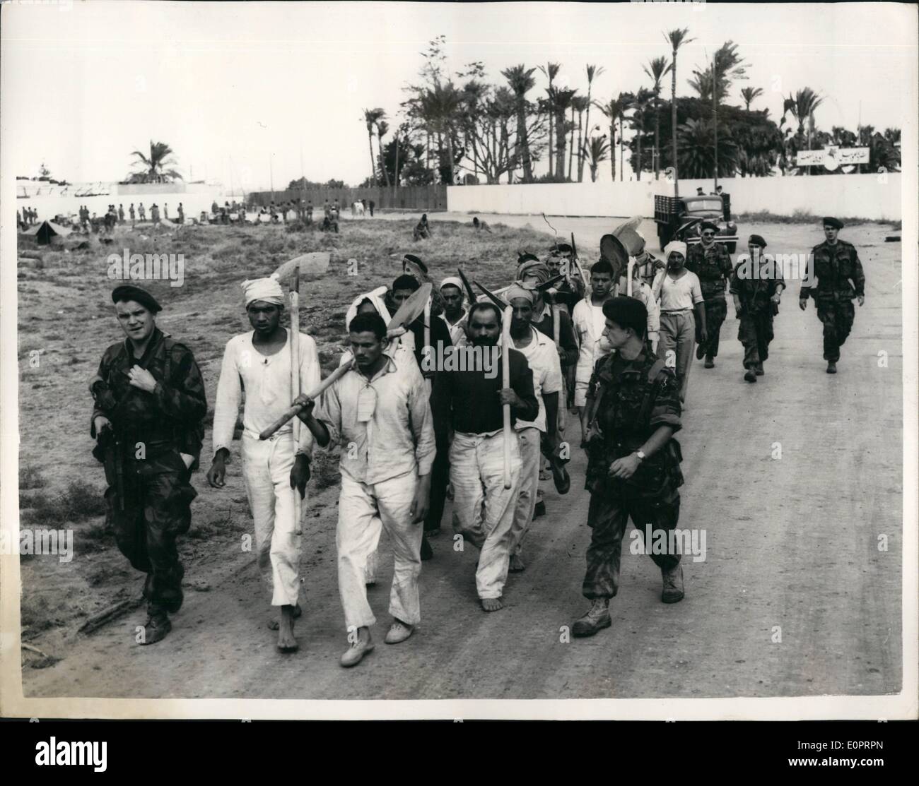 11. November 1956 - neueste Szenen aus Port Said. Französische Truppen mit ägyptischen Gefangenen. Foto zeigt: Französische Truppen gefangengenommen ägyptische Soldaten heraus auf eine Arbeitsgruppe auf der Canal Road, Port Said. JSS/Keystone Stockfoto