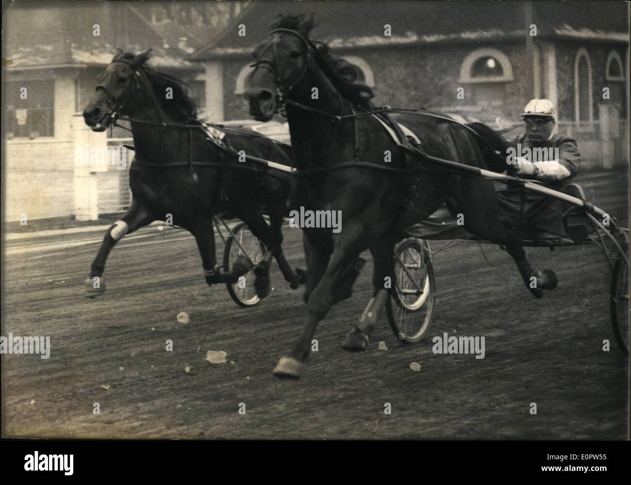 1. Januar 1957 - größte Event der Saison im Trab; Prix D'Amerique in Vincennes OPS: schwedische Pferde Tampiko und Smaragd Teilnahme an dem Rennen gesehen beim Training auf der Strecke von Vincennes. Stockfoto