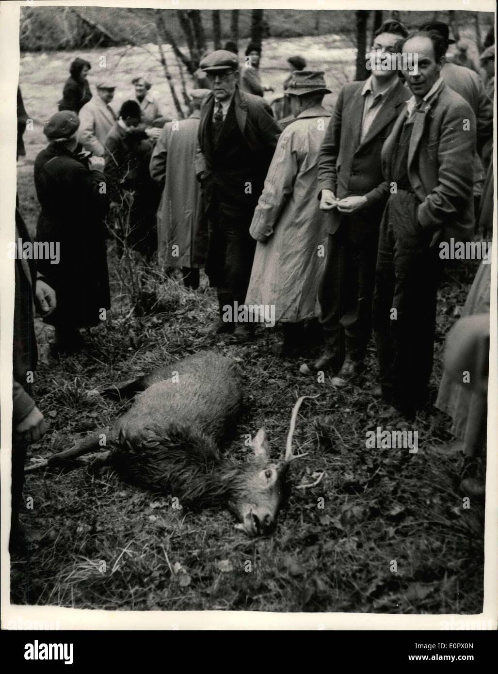 20. März 1957 - 20.03.57 Treffen von Devon und Somerset Hirsch Hounds Ã ¢ Â'¬â €œ der Devon und Somerset Hirsch Hounds traf sich gestern am Stockfoto