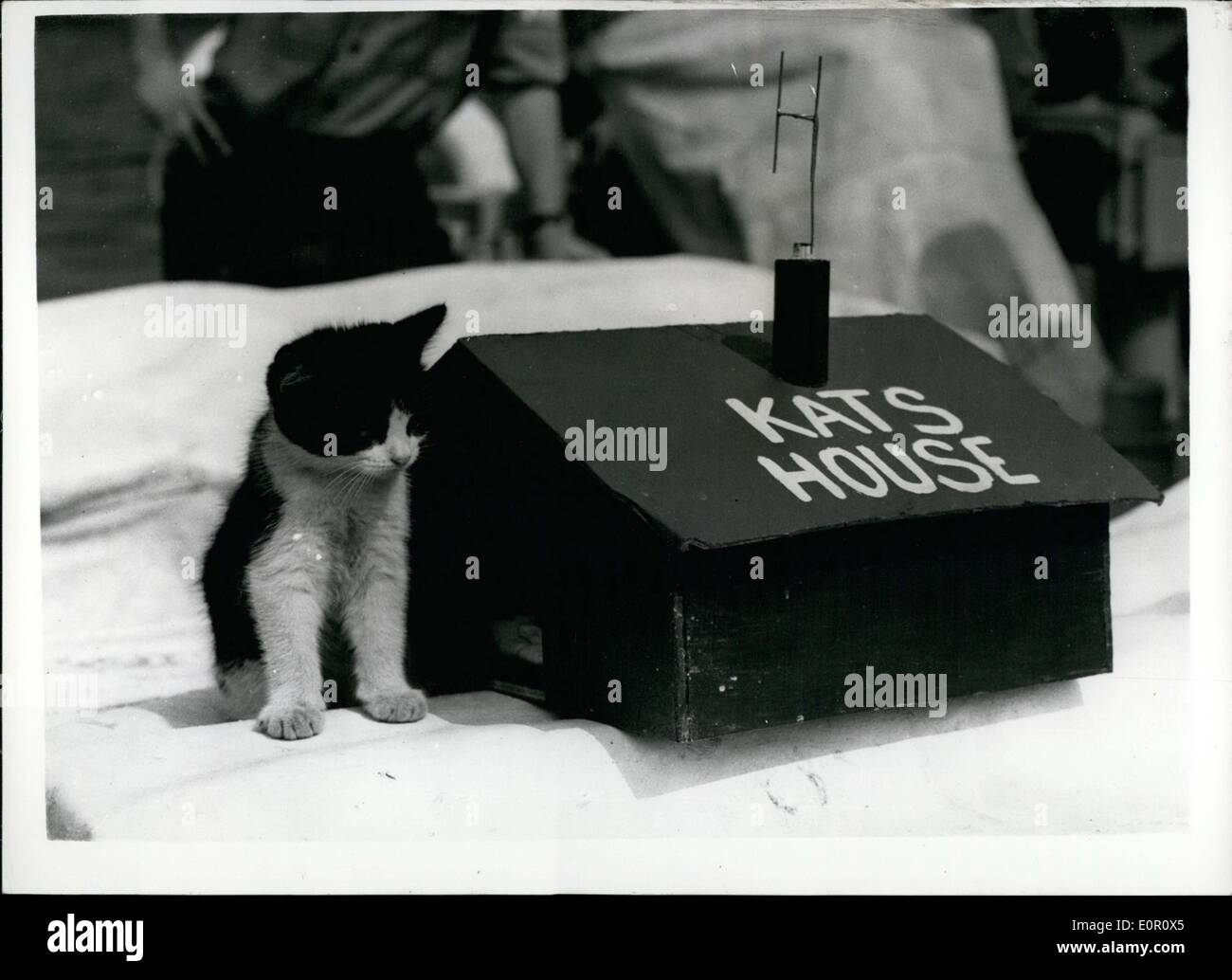 6. Juni 1957 - besuchen London Schulkinder Kleinst-u-Boot In die Themse. HMS Aberford Maskottchen - nimmt Leben Easy.: London Schuljungen vertäut Vormittag besuchten H.M.S SPROTTE - eines der neuesten Midget u-Boote- und H.MS. Aberford, einem seewärtigen Verteidigung Boot der Marine - neben der Royal Festival Hall. Es ist Teil der Navy '' Show'' für die Schüler anziehen. Foto zeigt '' klein '' - das Kätzchen-Maskottchen der HMS Aberford - nimmt das Leben leicht neben seiner Heimat Miniatur auf dem Deck des Schiffes. Es ist complete-Ereignis für die TV-Serie. Stockfoto