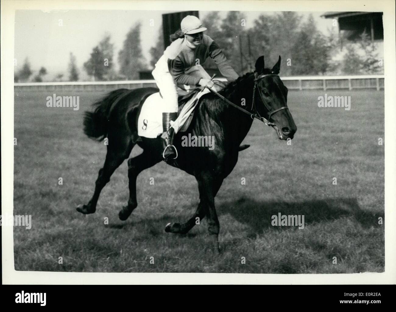 10. Oktober 1957 - 10.10.57 14½ Jahr altes Mädchen Newmarket Stadt Platte gewinnt. Die Newmarket Stadt Platte fand heute das einzige Rennen, in dem eine Frau Jockeys werden kann, statt. Keystone-Fotoshows: 14-jährige Miss Scarlett Rimell, Tochter von Trainer Fred Rimell, gewann das Rennen auf Hippocampe, gesehen bei Newmarket heute, sie war die jüngste Teilnehmerin. Stockfoto