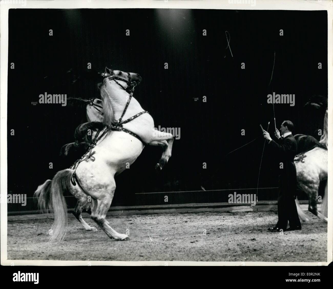 18. Dezember 1957 - 18.12.57 Zirkus Olympia Generalprobe Ã ¢ Â'¬â €œ Liberty Pferde.  Foto zeigt: Albert und Paulina Schuman Libe Stockfoto