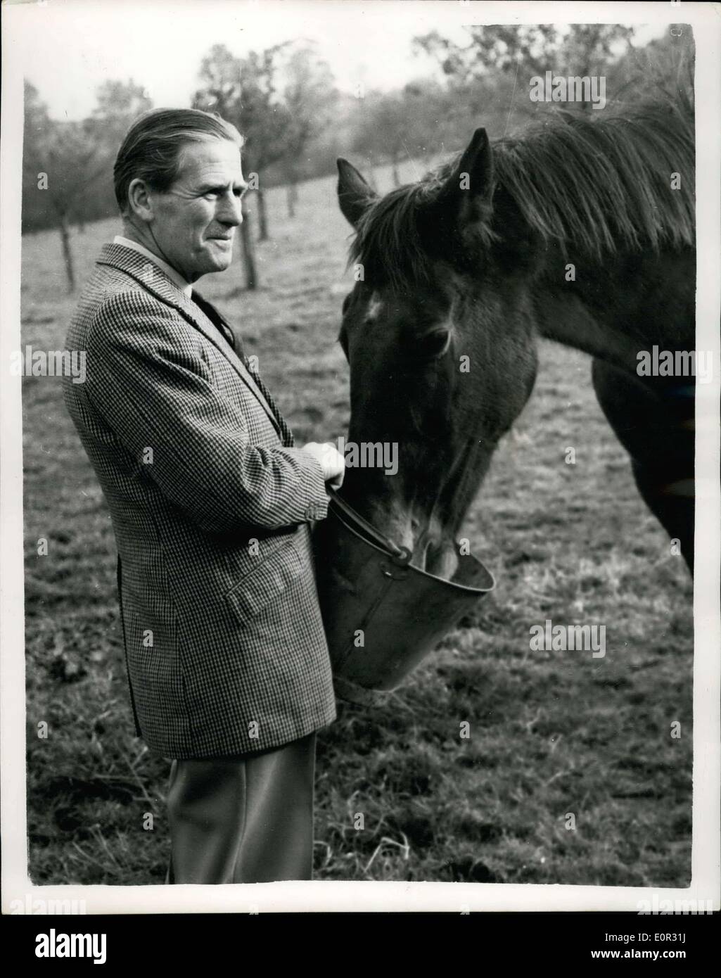 11. November 1957 - ehemaliger Gouverneur von Cyprus-Sir John Harding-Down-On The Farm: Field Marshal Sir John Harding-ehemaliger Gouverneur von Zypern-lebt jetzt im Ruhestand auf seiner Farm in Dorset. Sicherheitsbeauftragte noch Auge ein auf ihm im Fall der Gefahr von jedem Eoka-Terroristen. Das Foto zeigt. Field Marshal Sir John Harding speist ein Pferd auf seiner Farm in Dorset. Stockfoto