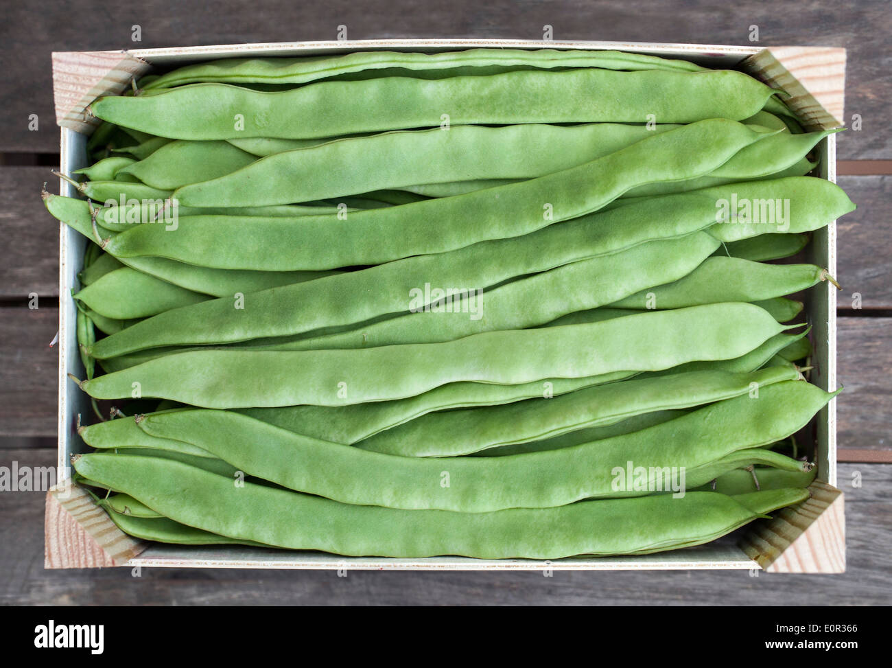 Holzkiste von frischen grünen Bohnen. Stockfoto