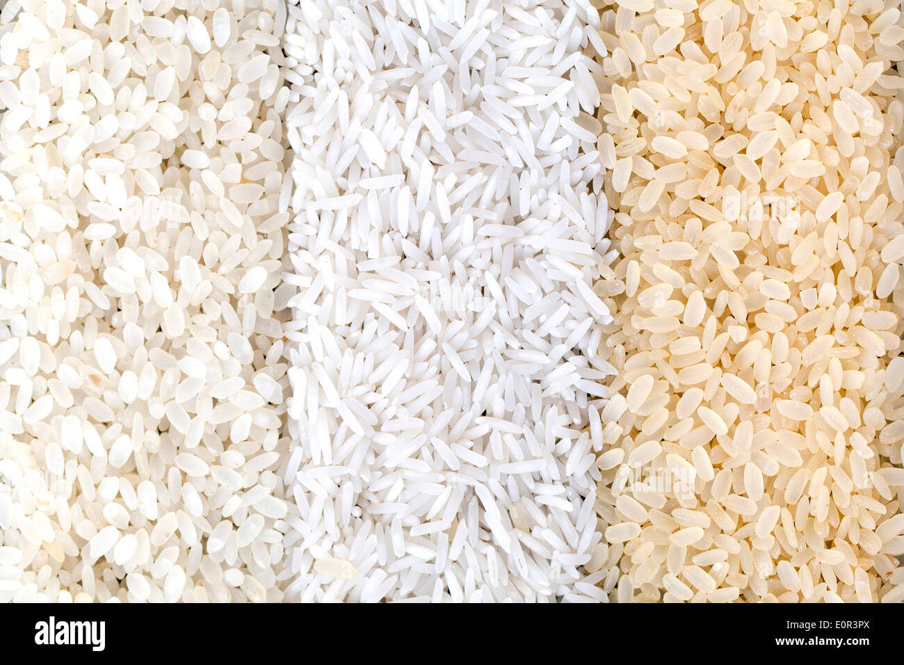 Nahaufnahme von Differet Sorten von Reis Stockfoto