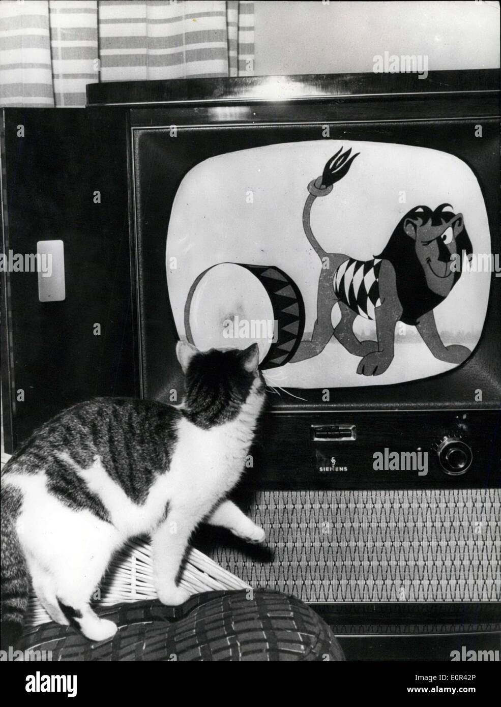 29. November 1957 - die aktuelle Katze hat ihr '' Logenplatz '' auf dem Fernseher: das ist '' Moushy'' der zwei-jährige Liebling von Josef Beer von München, die kürzlich in der Presse erwähnt wurde. Die '' TV-Katze '' arbeitet nicht nur mit ihrer Zähne und Pfoten aber Einnahme Interesse an dem Programm aktiver als ihre Wünsche '' Master'' ist. Cartoon-Filme sind ihre Favoriten und da die selektive Filterbereich - wie Spezialisten erklären - ein sehr kontrastreiches Bild liefert, der TV-Löwe oft erhält eine Kiste hinter seinen Ohren - natürlich mit samt-Pfoten. Stockfoto