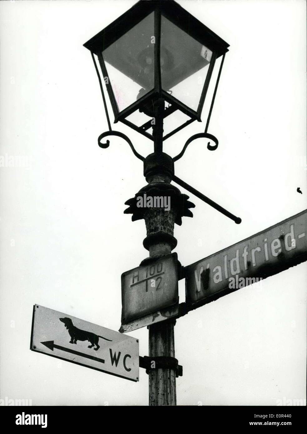 13. Januar 1958 - gut gemeinter.: nennen sie das Poster, Regie, '' die Hundetoilette '', die Bürger von Frankfurt an angebracht Stockfoto