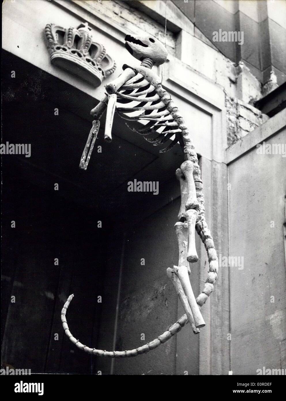 10. März 1959 - eine grausige Skelett...:... hängt über dem Eingang der Ruine des Kleines House in der württembergischen Staat Stockfoto
