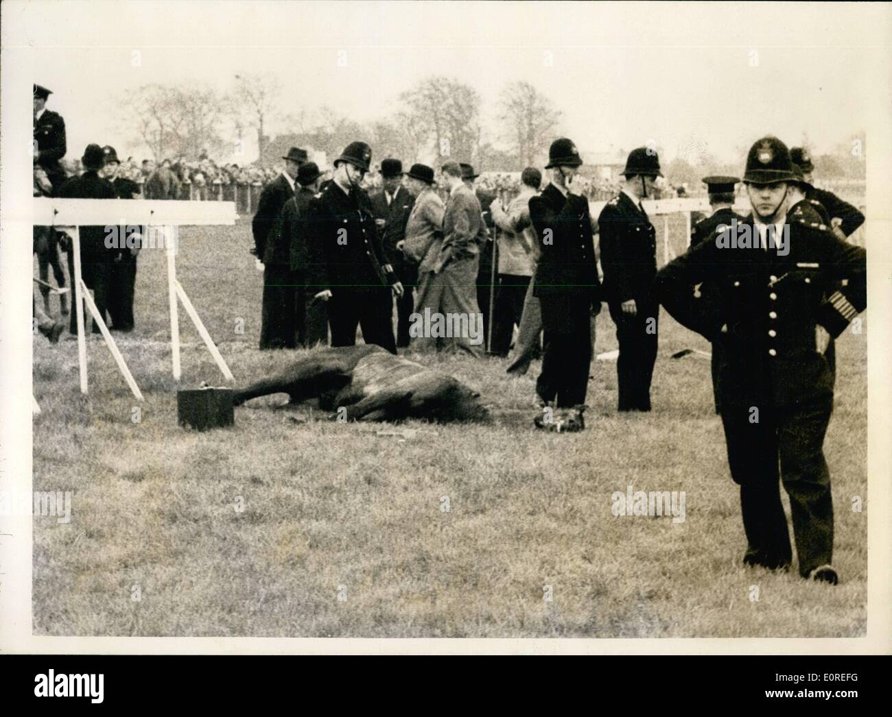 4. April 1959 - Rennen in Epsom... '' Maskenball '' stürzt durch Schienen in der Nähe von beenden der Stadt und Vorstadt Handicap: '' Masquerade'' - geritten von s. Boothman stürzte über die Schienen -, wenn die Oberfläche der Stadt und Vorstadt Handicap in Epsom heute Nachmittag kurz vor. Foto zeigt: Das Pferd '' Maskenball '' liegt auf dem Boden - nach einem Sturz über die Schienen in Epsom heute Nachmittag. Er musste vernichtet werden. Stockfoto