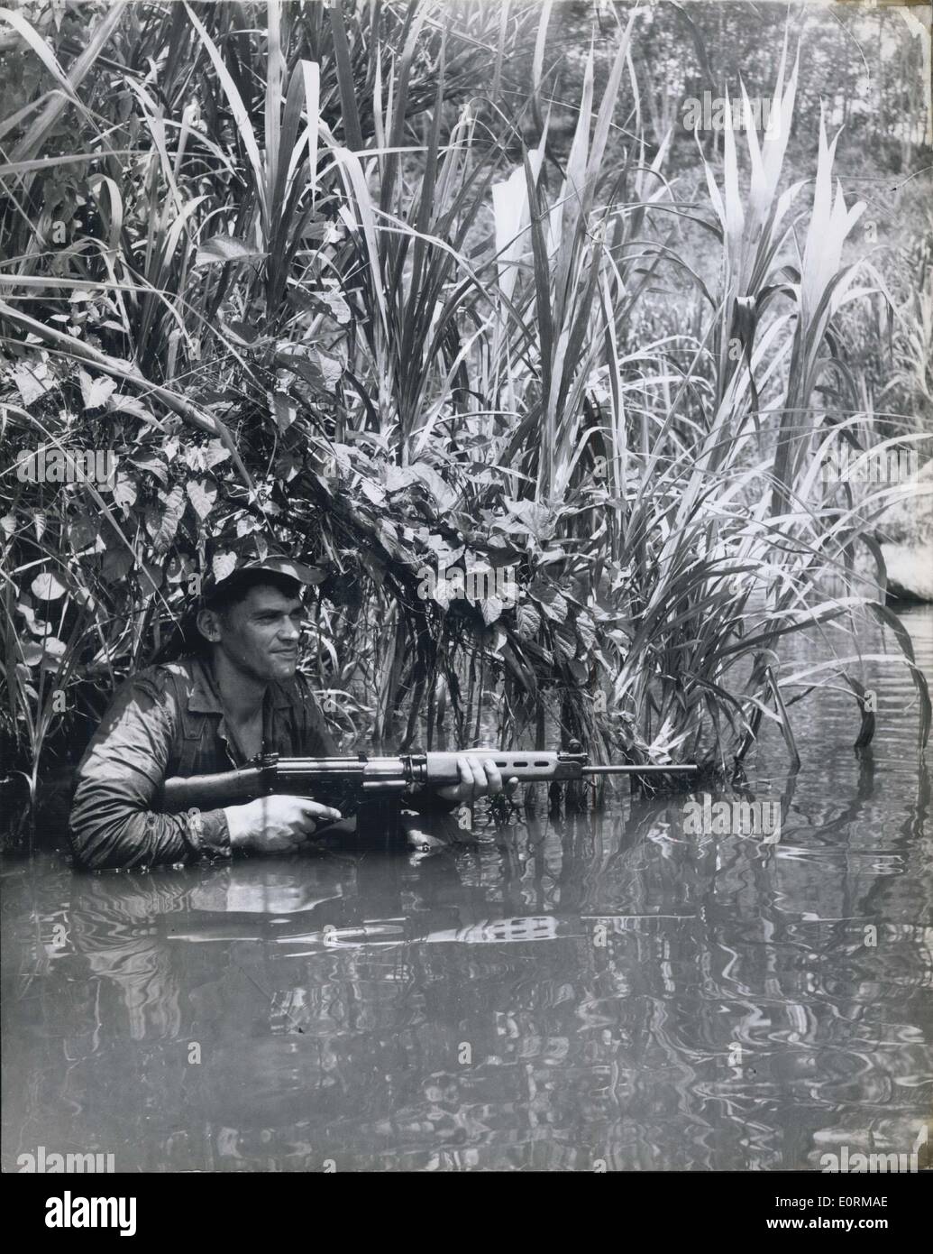 1. Januar 1960 - gerade für Malaien restlichen Banditen: Tpr Steve Waters, der N. Aukland, verdeckt durch Sumpf Schilf und Laub, sitzt im Wasser mit seinem automatischen Gewehr im Anschlag, Deckel mit dem Rest des Grenzübergangs Patrouille Überquerung eines Flusses zu geben, jeder Fortschritt ist Verhalten mit militärischen Vorkehrungen. Stockfoto