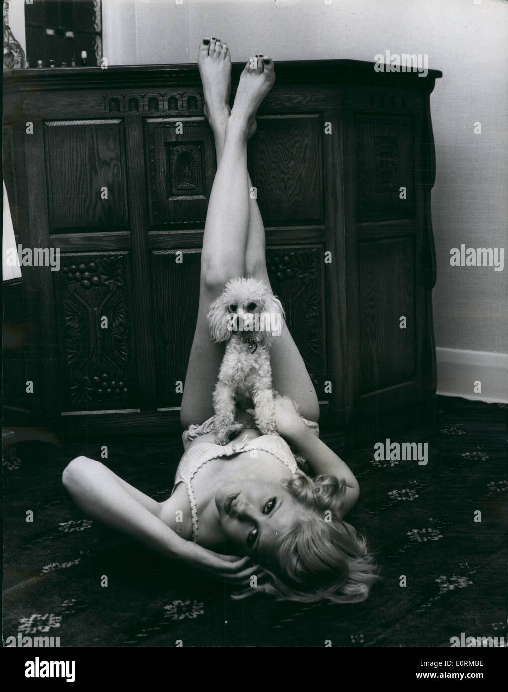 1. Januar 1960 - alles, was Sie tun können - I Can Do Better... Das ist was Zwergpudel und formidable Hüterin der üppige, blonde Penny Stockfoto