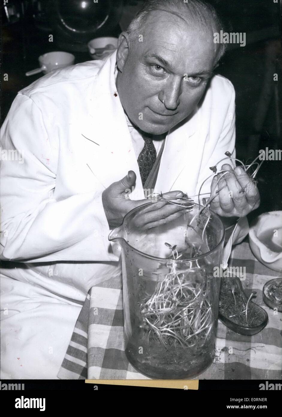 2. Februar 1960 - Desserts in blühenden Gärten... verwandeln... ...das ist was das synthetische Produkt, der Chemiker Herbert Kurth Stockfoto