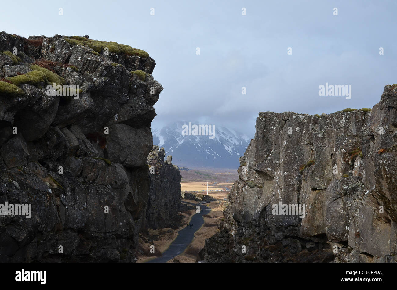 Die Almannagjá Kluft zwischen der amerikanischen und eurasischen tektonischen Platten in Þingvellir, Island. Stockfoto