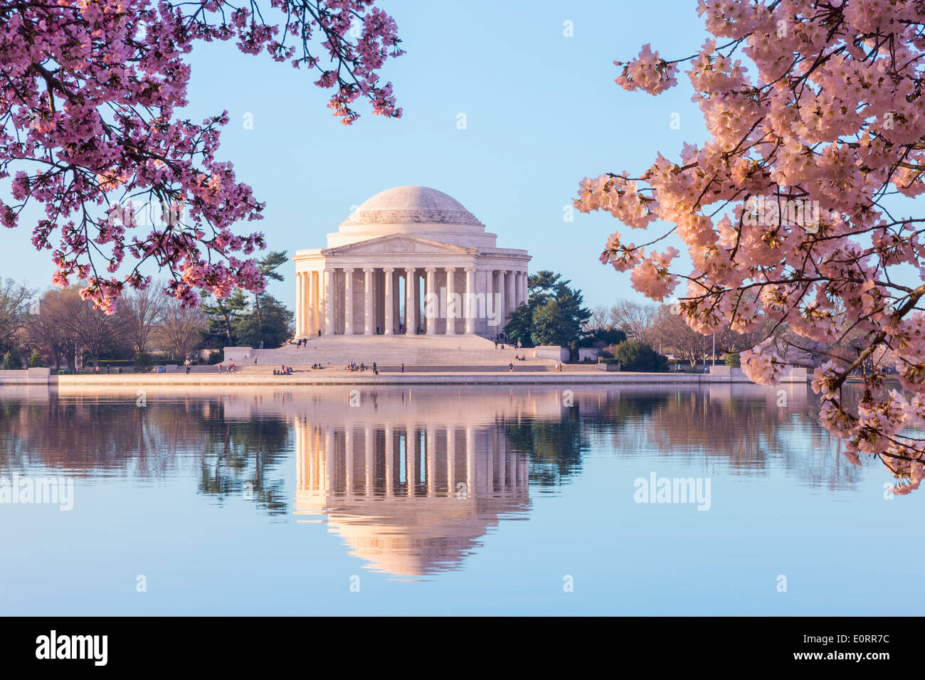 Spring Blossom in Washington DC und das Jefferson Memorial Stockfoto