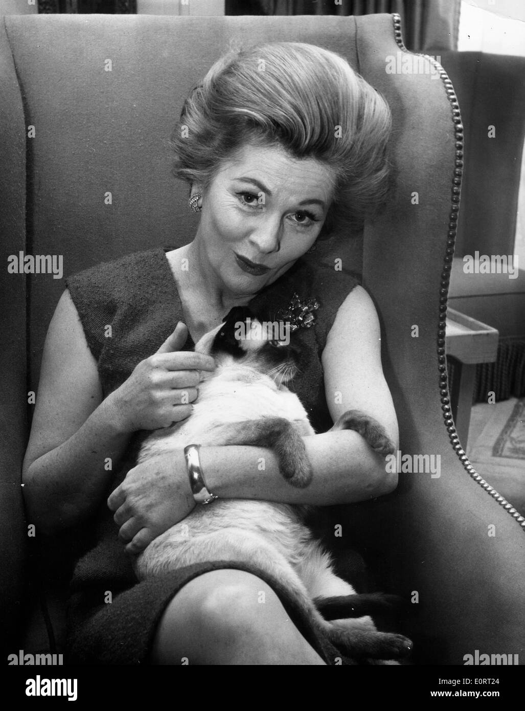 JOAN FONTAINE Stockfoto