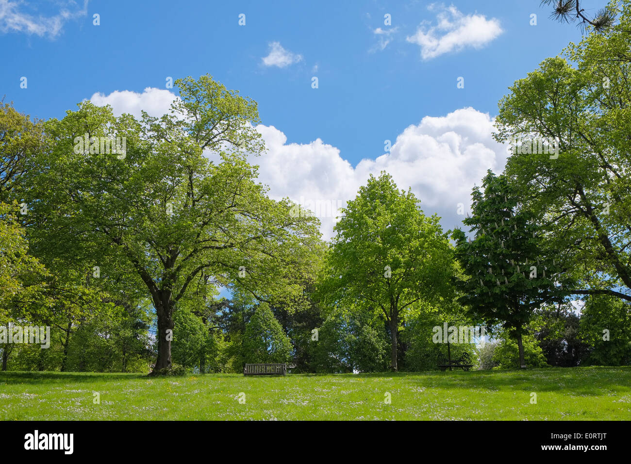 Schönen grünen Park in Frühling, England, Großbritannien Stockfoto