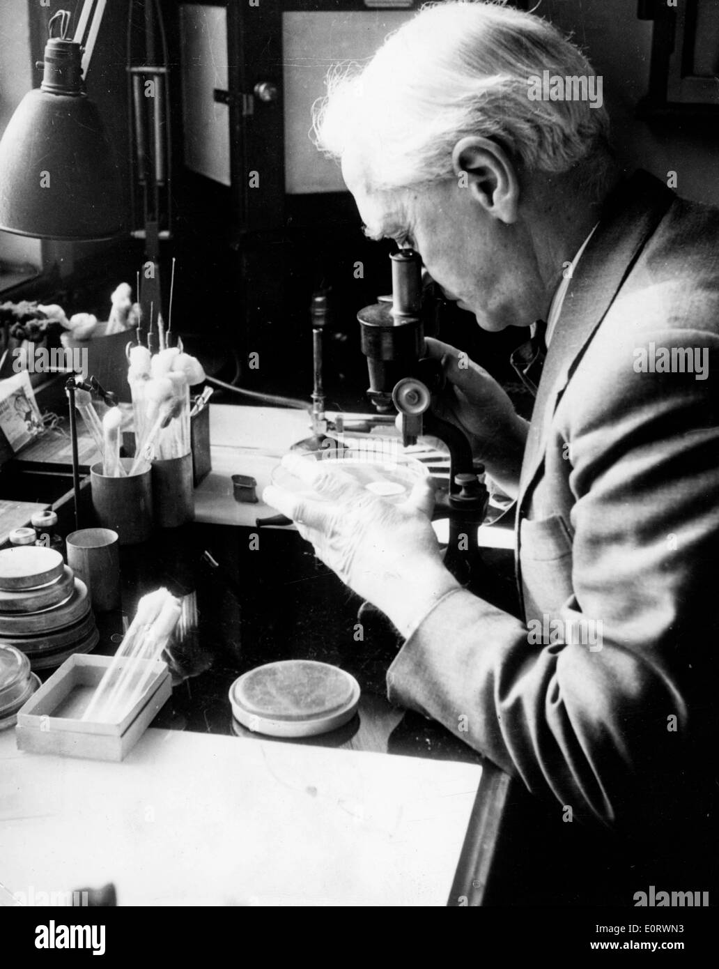 Biologe Alexander Fleming arbeitet in seinem Labor Stockfoto