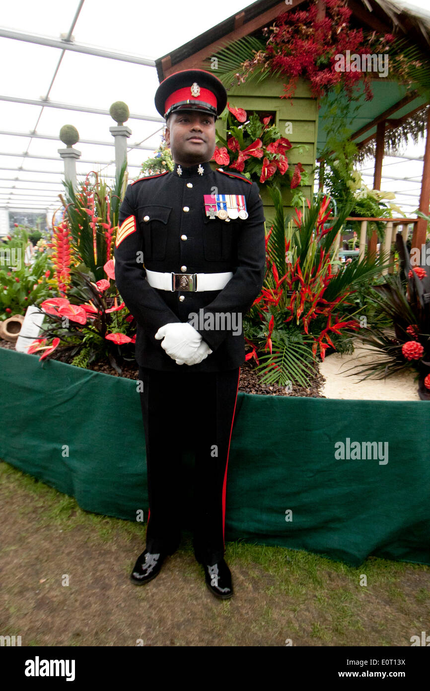 London UK. 19. Mai 2014. Sergeant Johnson Beharry Gewinner des Victoria Kreuzes besucht die RHS Chelsea Flower Show am Pressetag. Die renommierten Gärtnerei Show bietet Hunderte von Ständen und Gartenarbeit Exponate, die am 20. Mai für die Öffentlichkeit zugänglich ist Credit: Amer Ghazzal/Alamy Live-Nachrichten Stockfoto