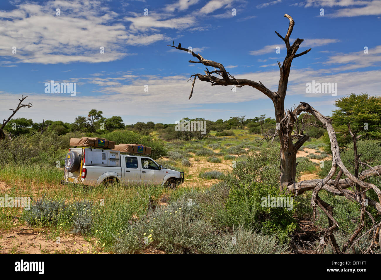 4 x 4 Geländewagen in Landschaft der Kgalagadi Transfrontier Park, Mabuasehube Abschnitt, Kalahari, Südafrika, Botswana, Afrika Stockfoto