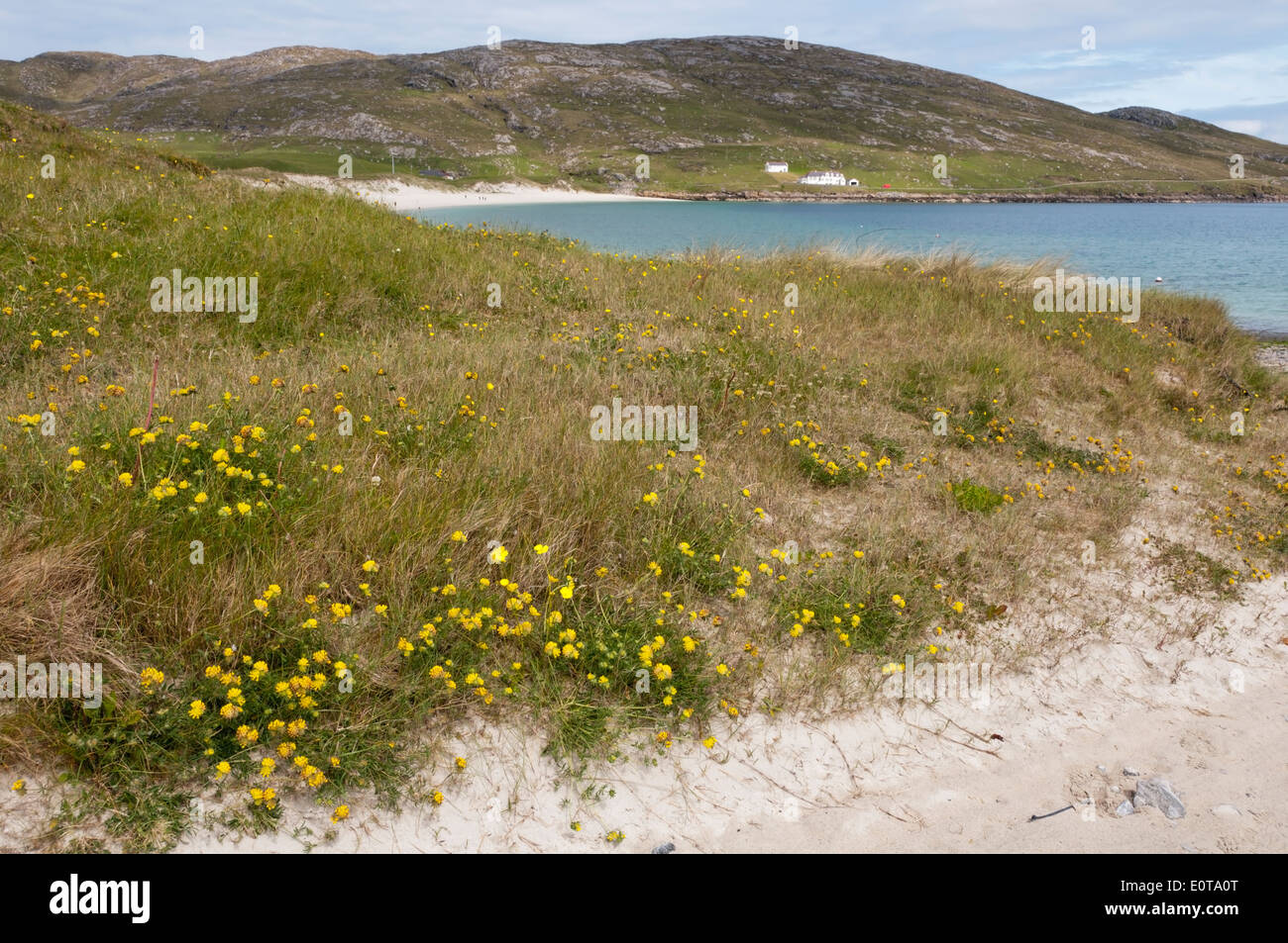 Die Insel Vatersay in den äußeren Hebriden. Stockfoto