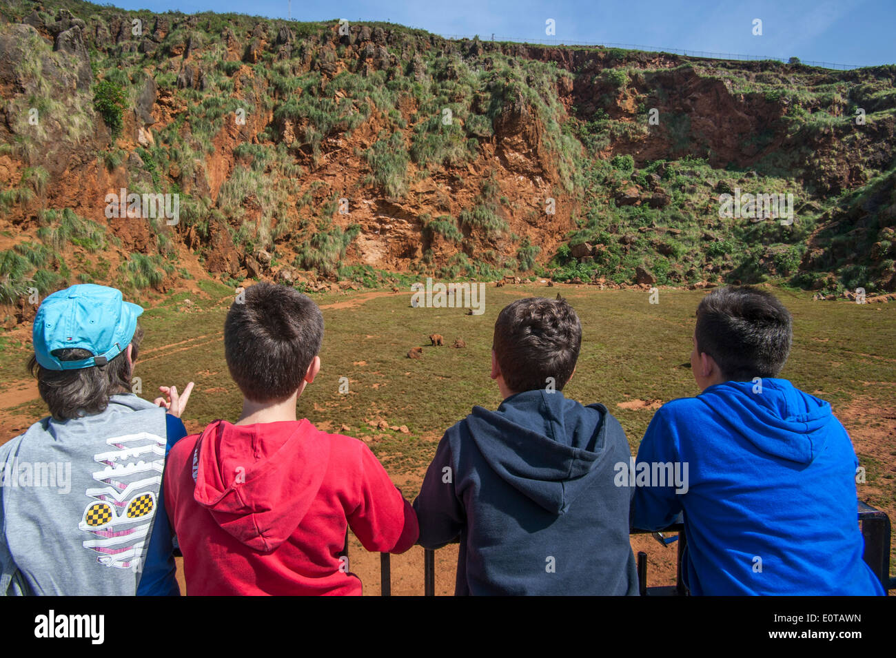 Schülerinnen und Schüler beobachten Braunbären am Cabarceno Naturpark, Penagos, Kantabrien, Spanien Stockfoto