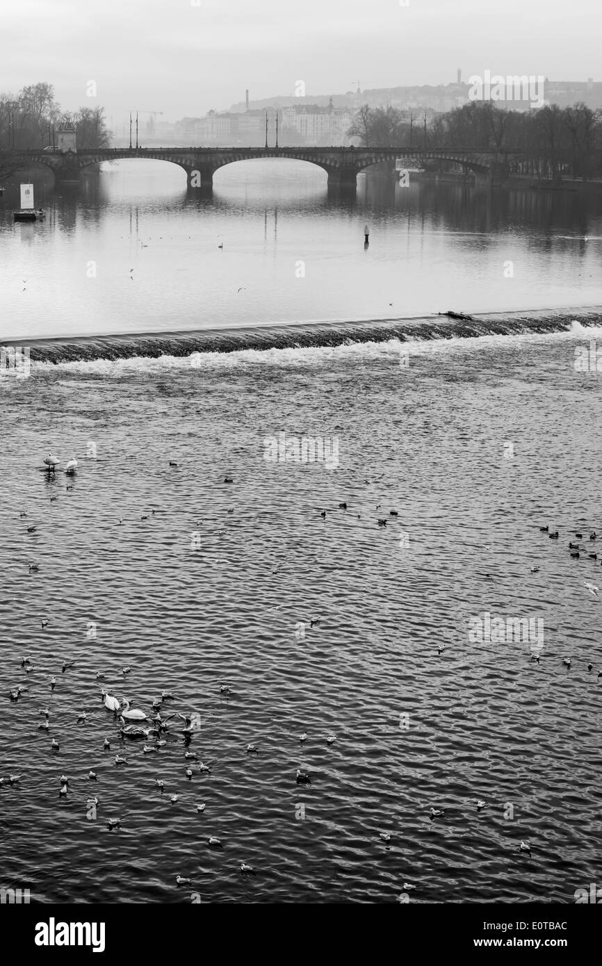 Moldau Stockfoto