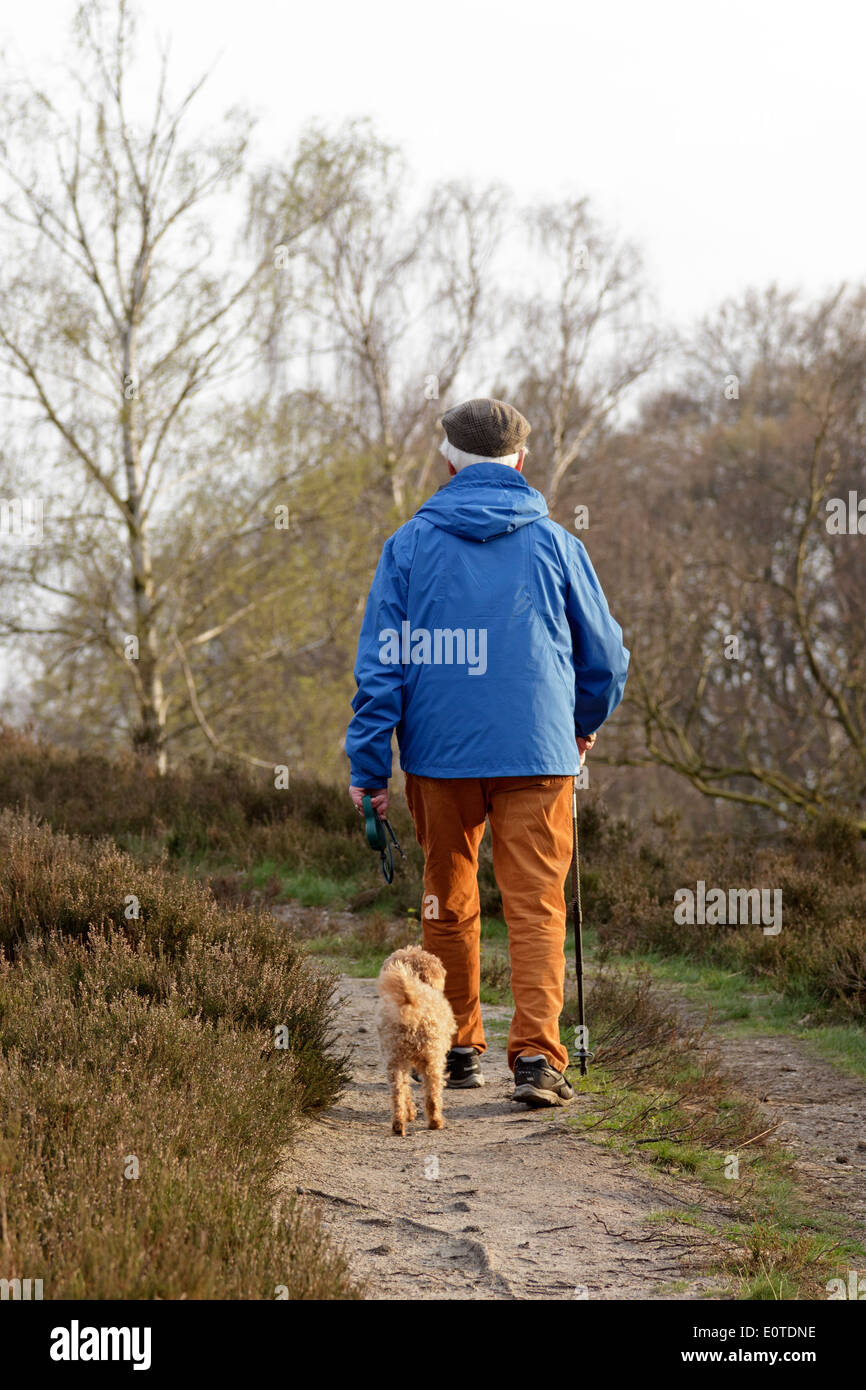 Senioren-Spaziergang mit seinen Hund auf dem Lande Stockfoto