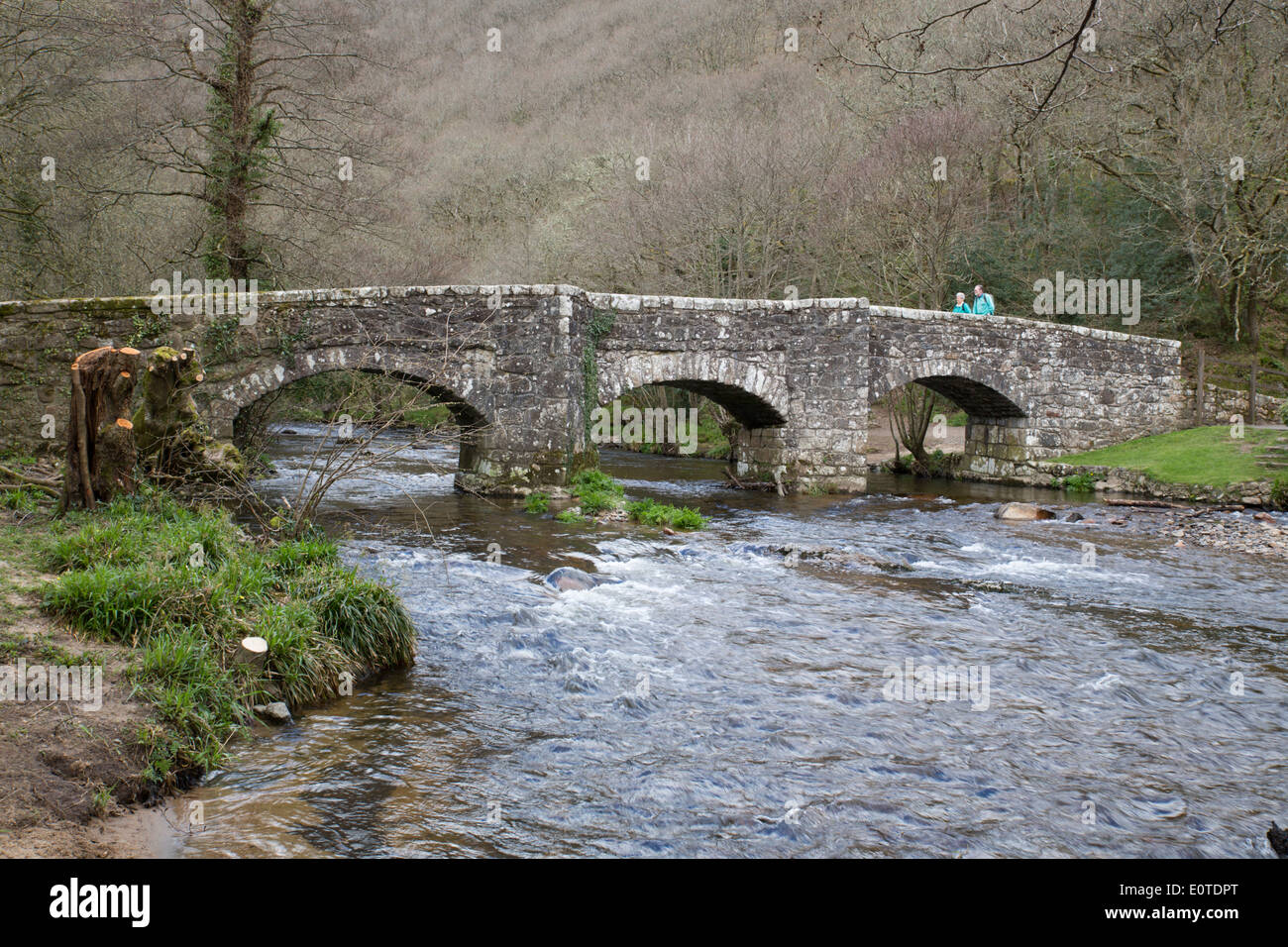 Fingle Bridge; Fluß Teign; Drewsteignton; Devon; UK Stockfoto