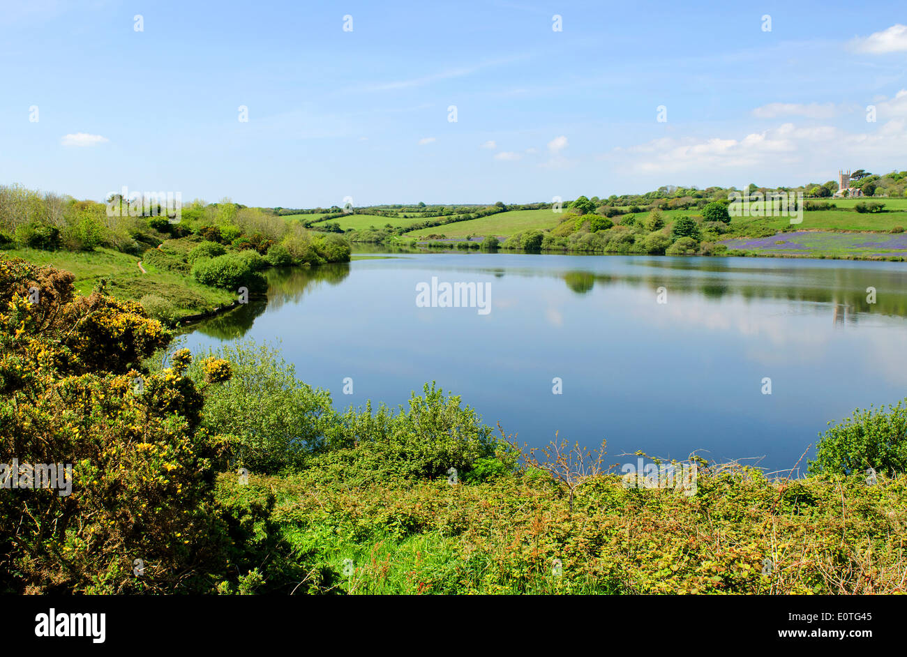 Argal See in der Nähe von Penryn, Cornwall, UK Stockfoto
