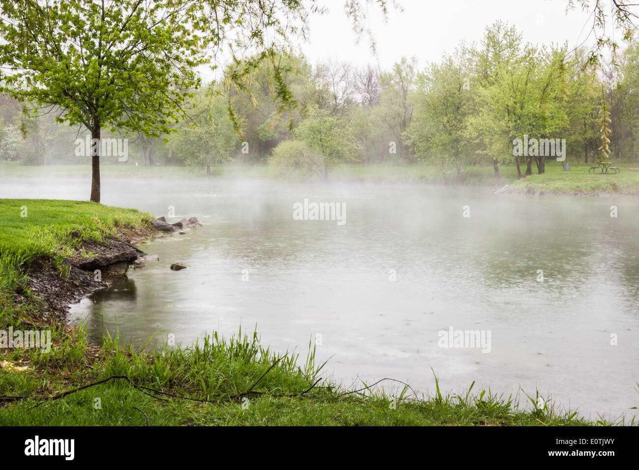 Morgennebel über dem See mit lebendigen grünen Bäumen rund um es verweilen Stockfoto